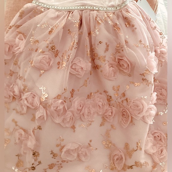 NWT BlueBeri Pink Layered dress, silver/gold accents, rows of flowers - Picture 6 of 11